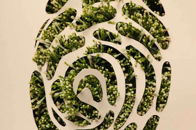 Claves para reducir la huella de carbono de los activos inmobiliarios residenciales en España