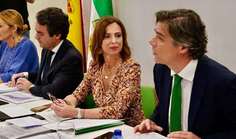 El Plan de Ordenación del Territorio de la Costa del Sol recoge el tren litoral y liberar el peaje de la A-7