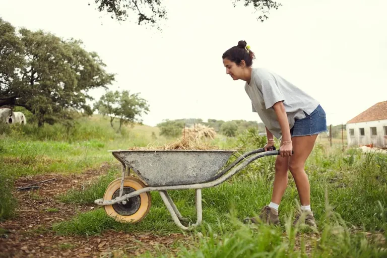 Talleres de permacultura para regenerar el suelo