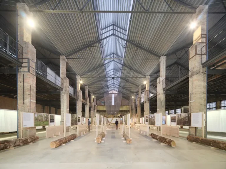 ForestED impulsa una nueva cultura material en la arquitectura a través de la madera local